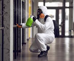 Youngstown, NY Mold Remediation Company